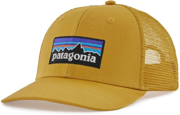 REi Co-op IE Cabin Gold Patagonia P-6 Logo Trucker Hat