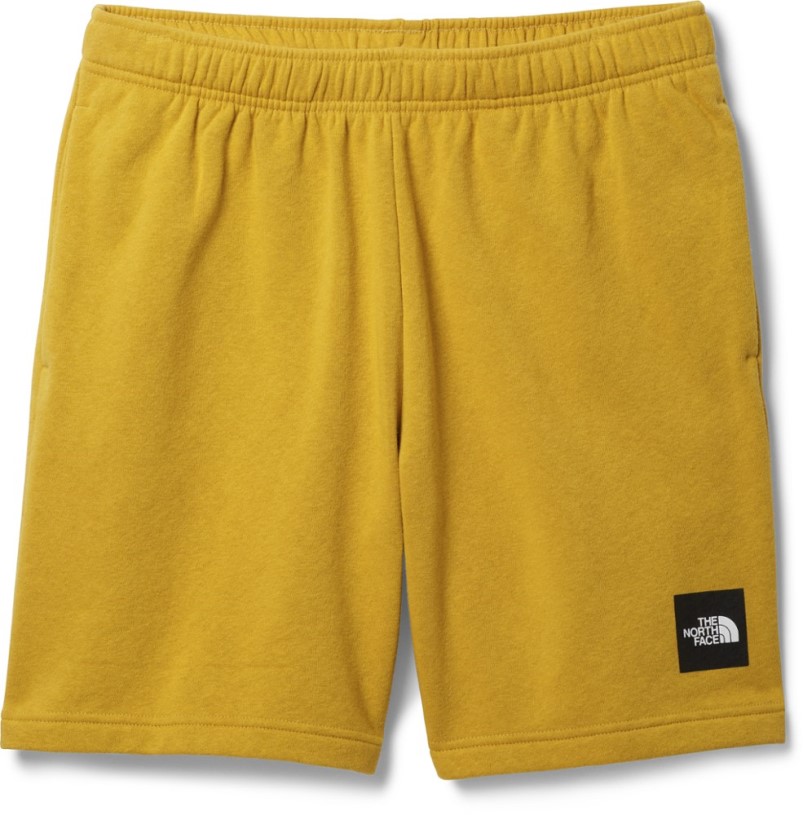 REi Co-op IE Black The North Face Never Stop Shorts Men