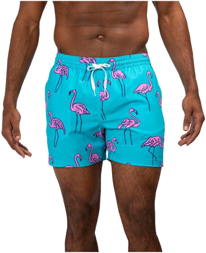 Beach Retreats Chubbies Stretch 5.5 Swim Trunks Men REi Co-op IE