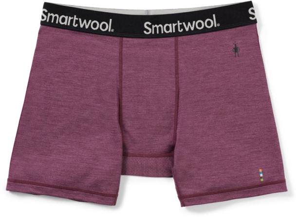 Argyle Purple Smartwool Merino Sport 150 Boxer Briefs Men REi Co-op IE