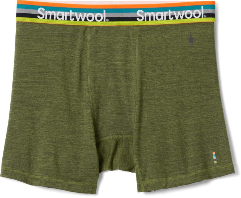 REi Co-op IE Green Smartwool Merino Sport 150 Boxer Briefs Men