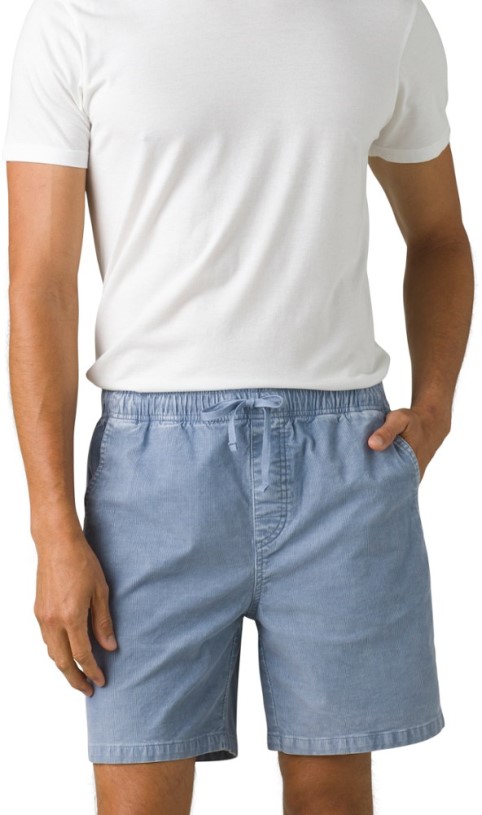 REi Co-op IE Prana Canyon Camp Shorts Men Sea Mist