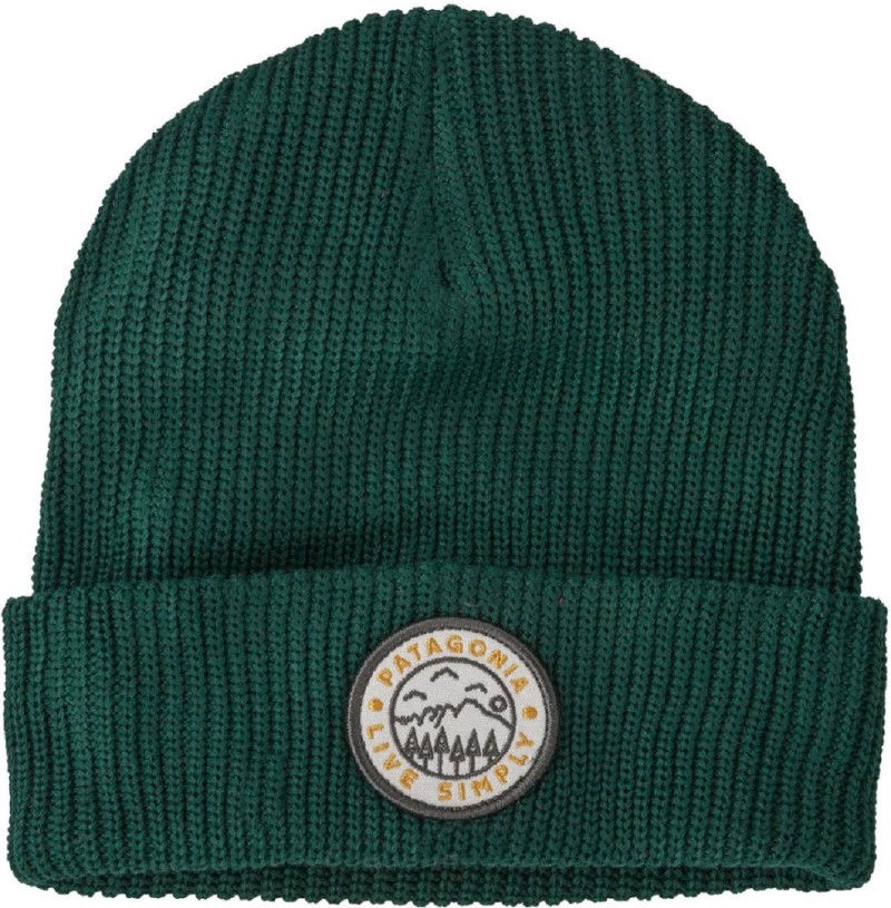 Green REi Co-op IE Patagonia Logo Beanie Kid