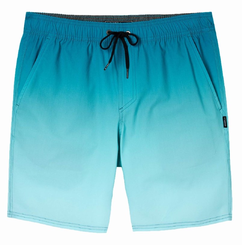 O'Neill Stockton Print E-Waist Hybrid Shorts Kid Blue REi Co-op IE